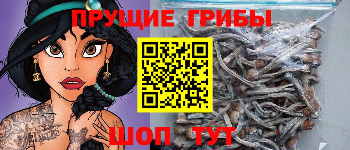 Псилоцибиновые грибы Magic Shrooms Тимашёвск