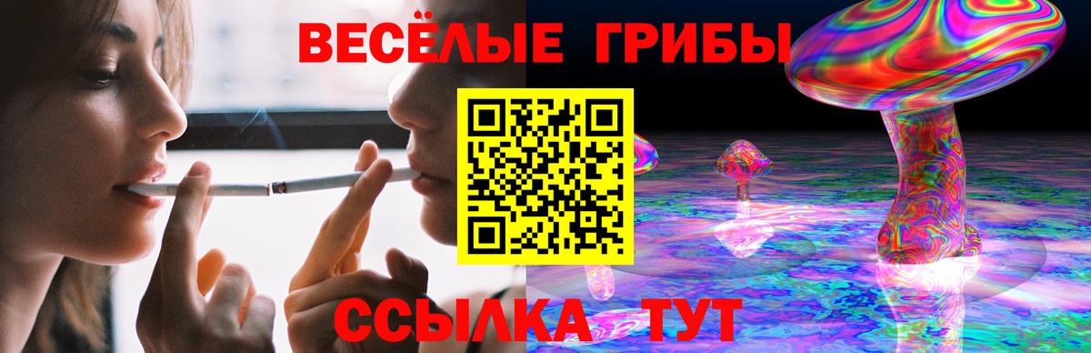 Тимашёвск  Псилоцибиновые грибы мухоморы  Галлюциногенные грибы прущие грибы  Вход с VPN 